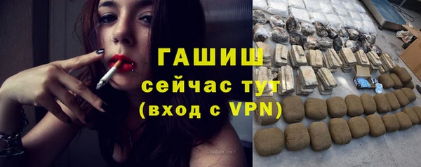хмурый Аркадак