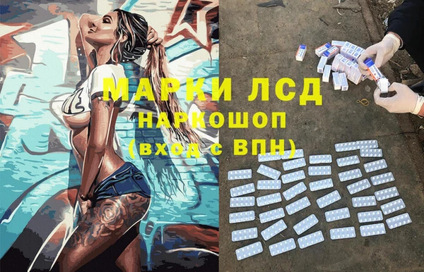 хмурый Аркадак