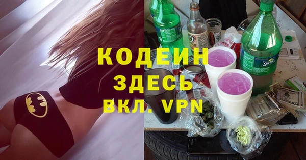 хмурый Аркадак