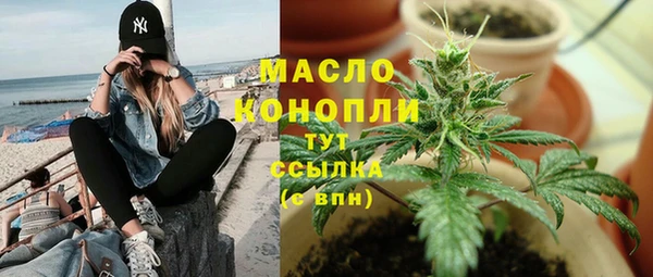 хмурый Аркадак