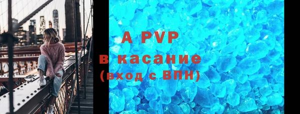 хмурый Аркадак