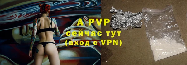 хмурый Аркадак